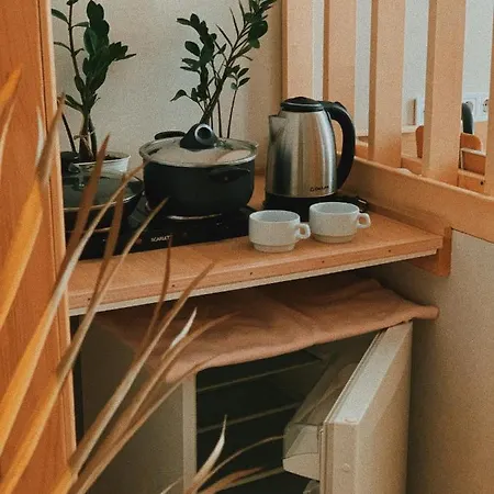 Apartment Ptcholkin's *