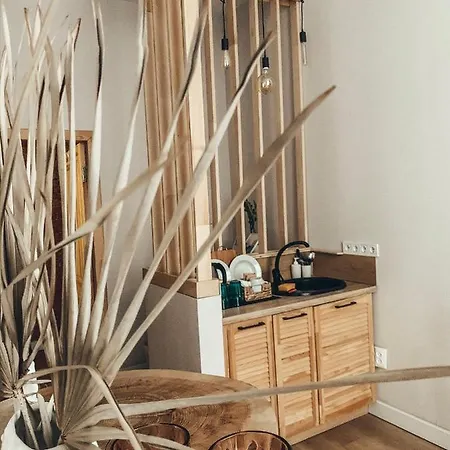 Apartment Ptcholkin's Lviv